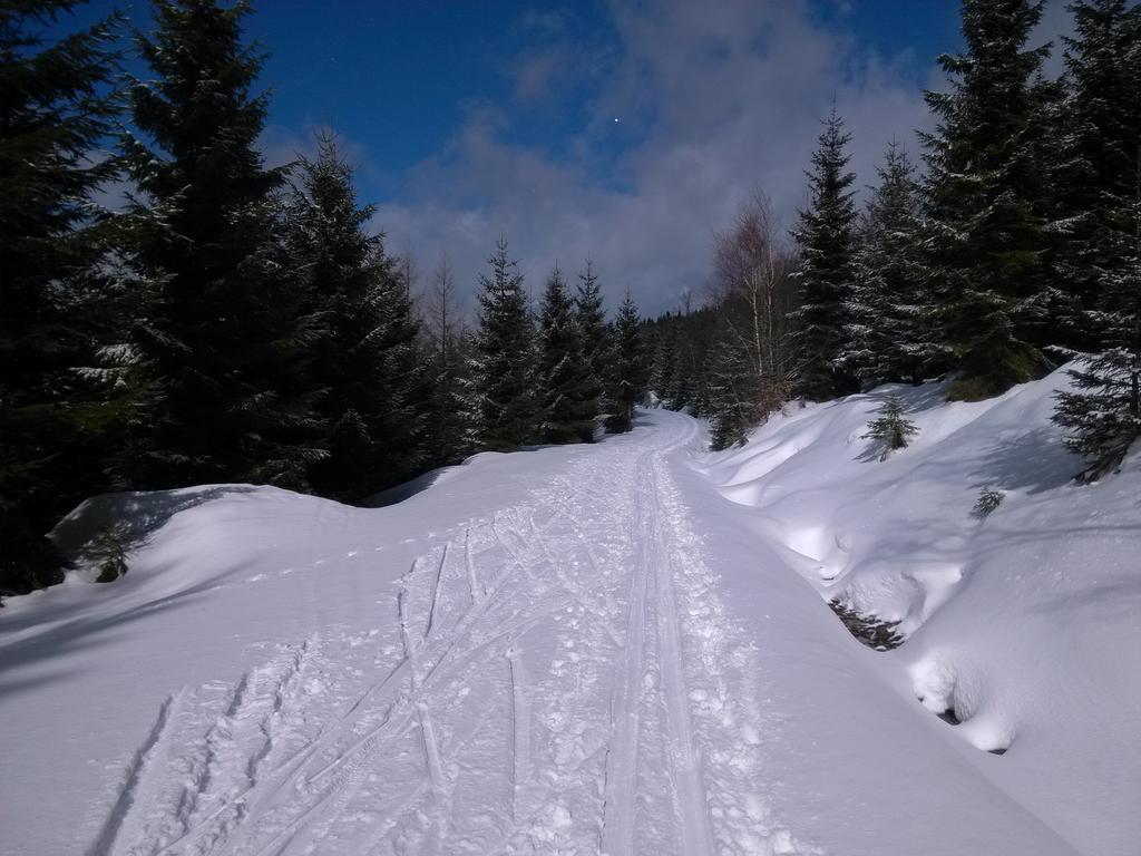 Pension & Restaurant Krakonos Harrachov Eksteriør bilde